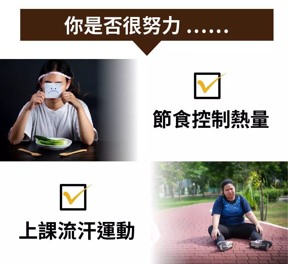 全方位 【輕鬆變身】微行動健康計畫
