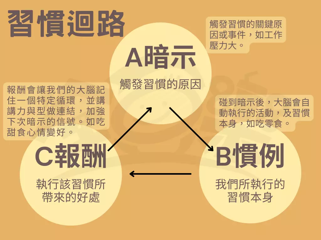 圖 全豆樂版權所有／習慣迴路的運作。