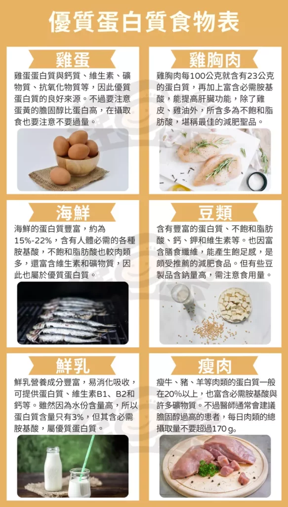 圖 全豆樂版權所有/優質蛋白質食物表。