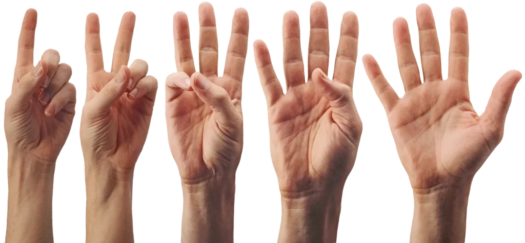 圖／想知道自己是幾號人嗎？歡迎報名參加 INCA 國際高級論碼諮商師一對一服務。